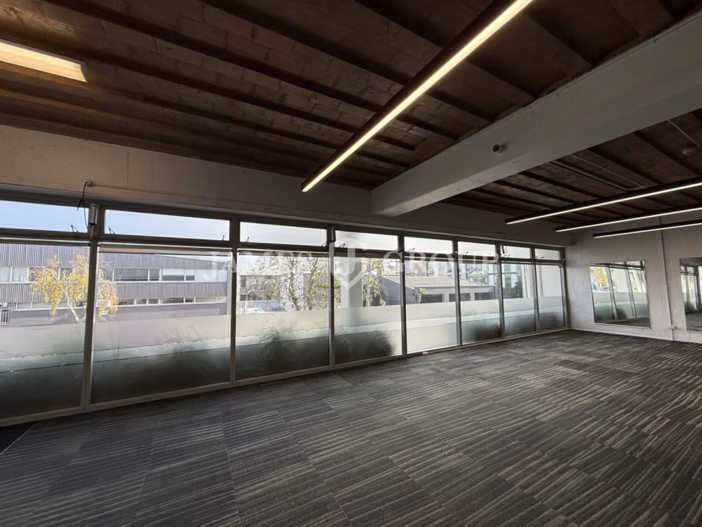 Grey Lynn Office With Profile