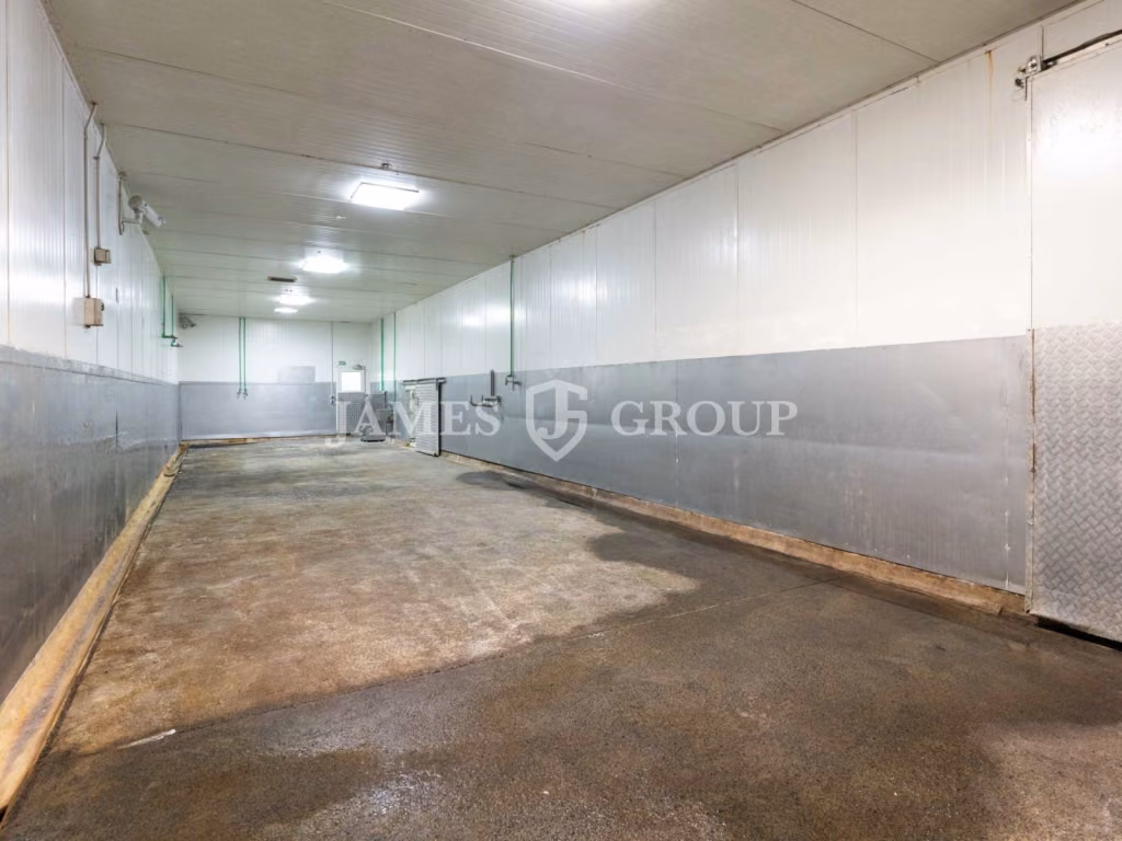 Functional Food Grade Unit | Available Now