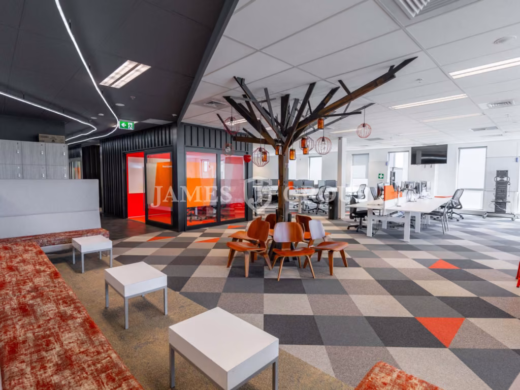 Full Floor Mt Eden Office