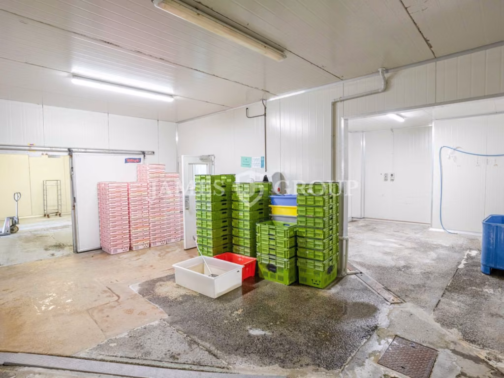 Central Auckland Food-grade Space With Chillers