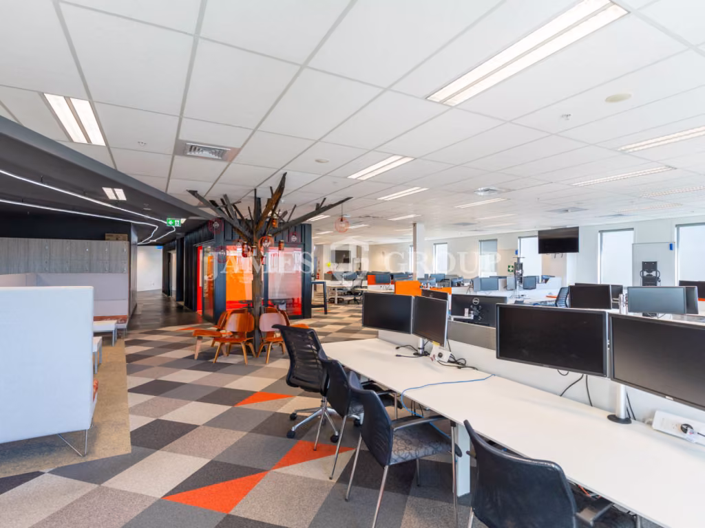 Full Floor Mt Eden Office