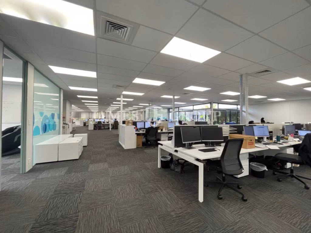 Cost Effective Mount Eden Office