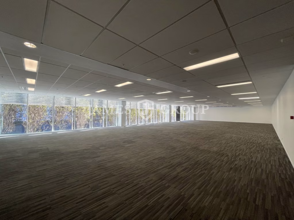 Modern Open Plan Parnell Opportunity