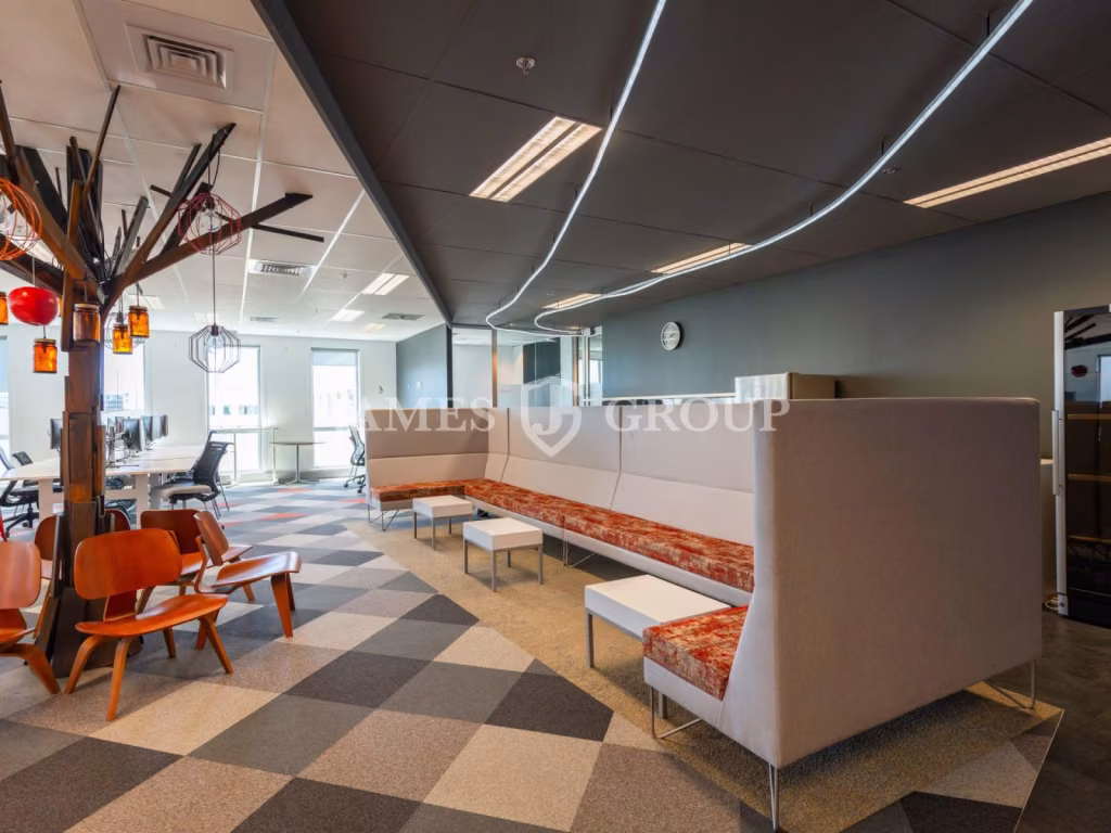 Full Floor Mt Eden Office