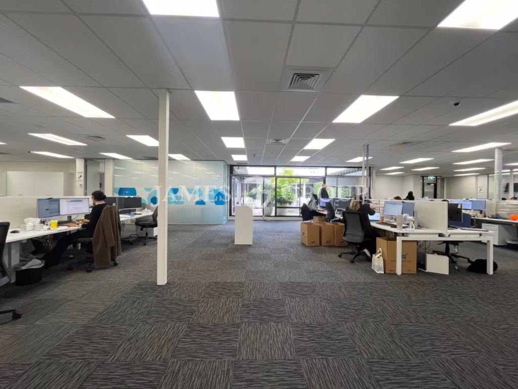 Cost Effective Mount Eden Office