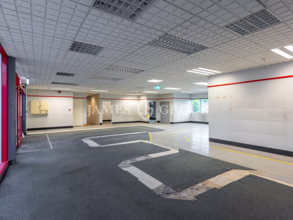 Roller Door Access In The Heart Of Parnell