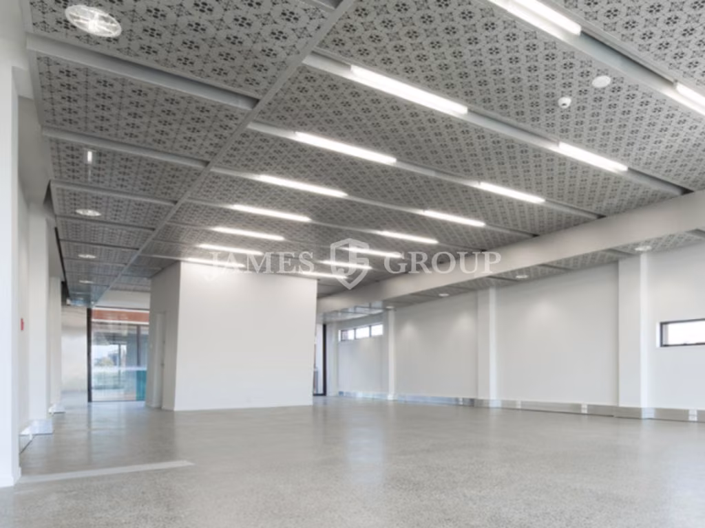 Affordable Light-filled 115m² Office