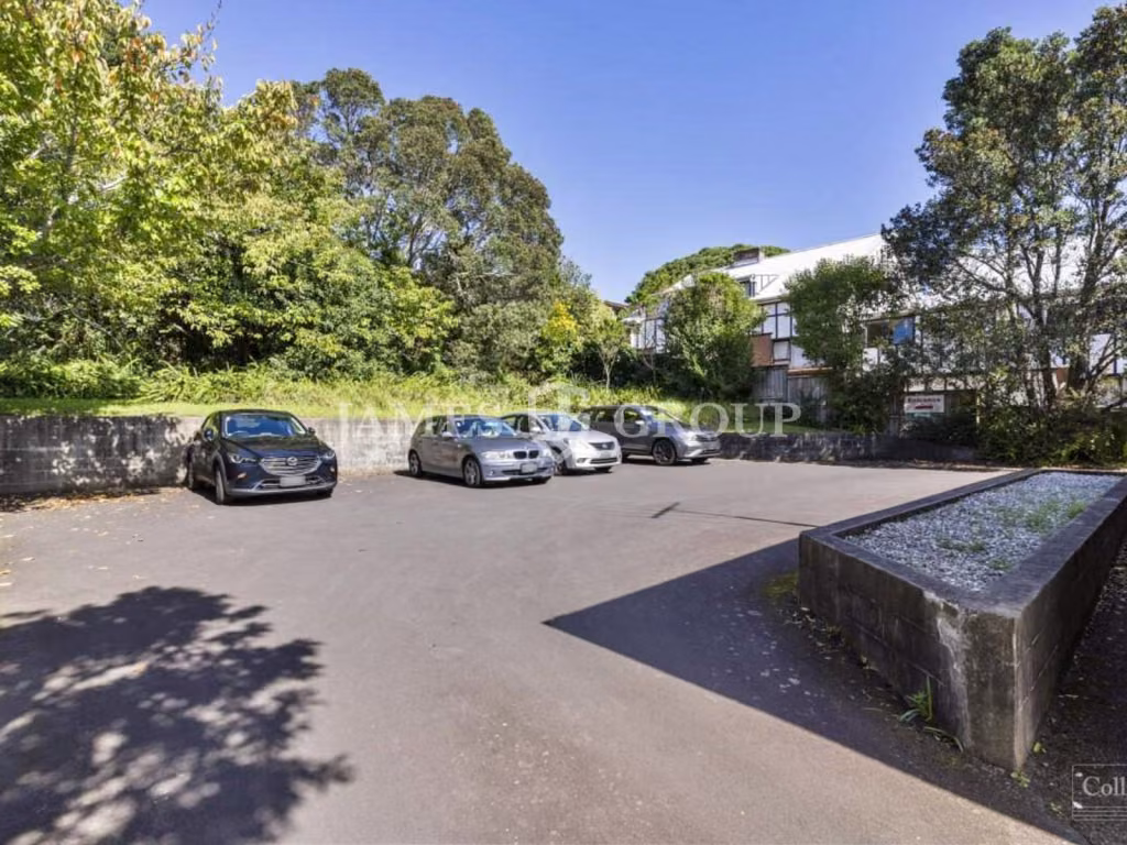 Mt Albert Road Exposure | Mixed Use Opportunity