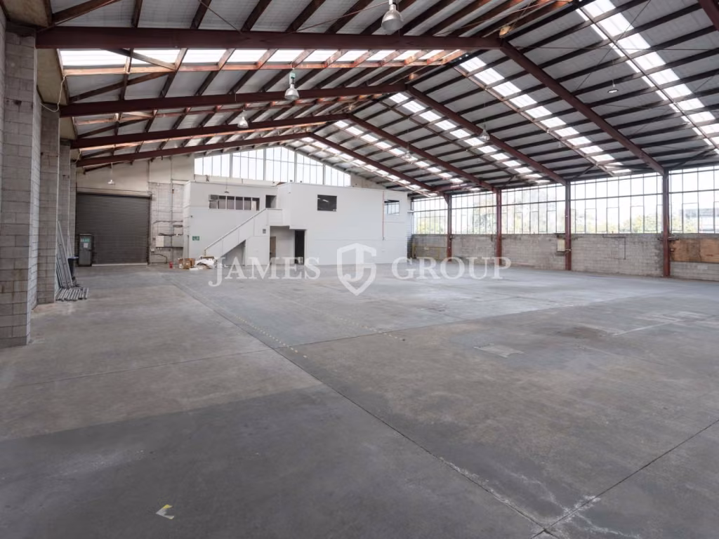 High Stud Rosebank Industrial | 1,133m²