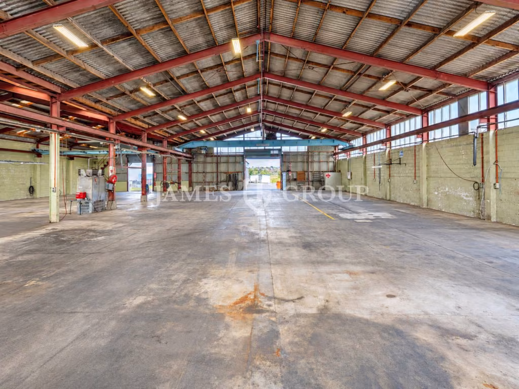 Prime Patiki Road Industrial + Large Yard